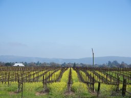 QueenVictoria2015-102